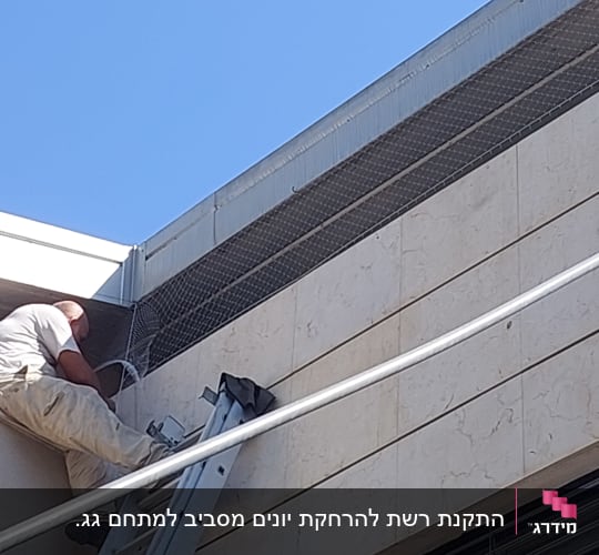אדם מתקין רשת למניעת כניסת יונים על קיר חיצוני.